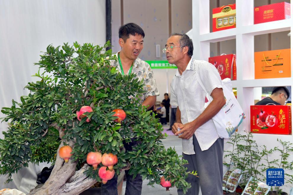 金沙代理商